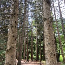 Austin T. Blakeslee Recreation Area