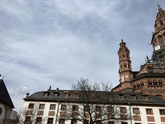 Mainz Cathedral by null