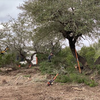 Hill Country Land Prep - Tree Services Near Me Hill Country Land Prep - Tree Services Near Me