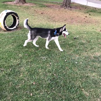 Andreson Dog Park - Dog Parks Near Me - Rialto, California