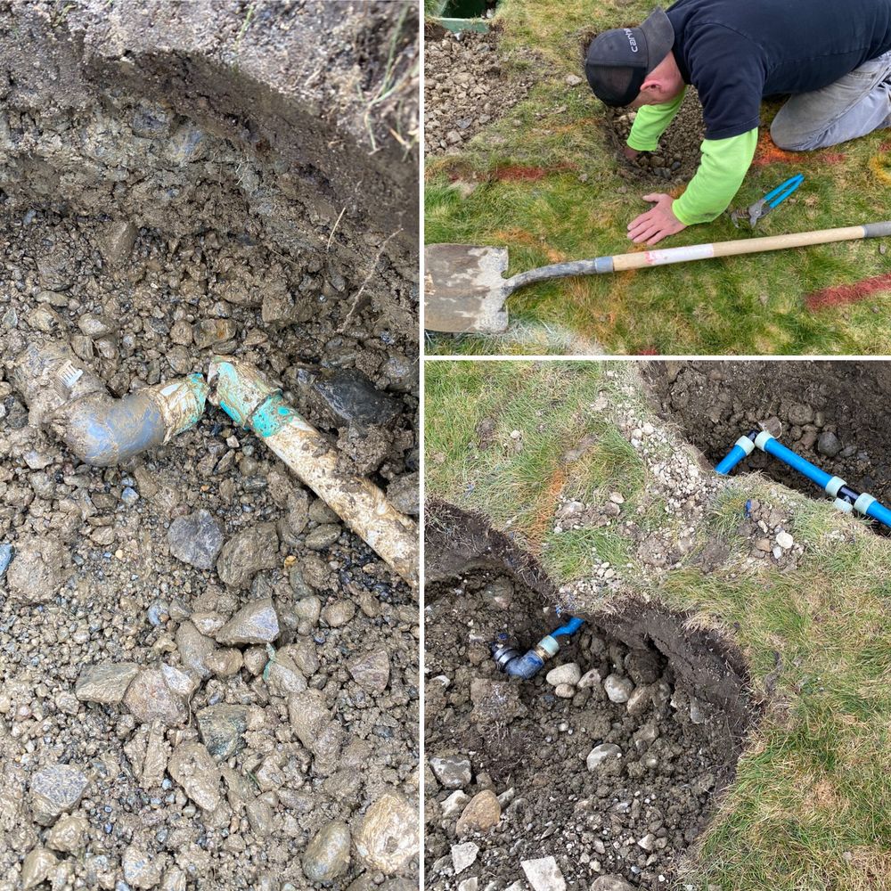 Slide of Aardvark Rooter