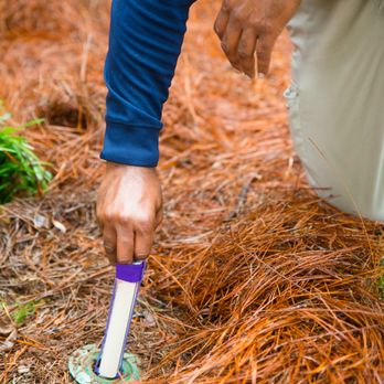 Arrow Exterminators - Pest Control Near Me - Mobile, Alabama Arrow Exterminators - Pest Control Near Me - Mobile, Alabama