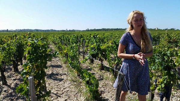 Château Pontet-Canet by null