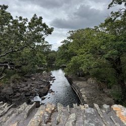 Gap of Dunloe Traditional Boat Tours
