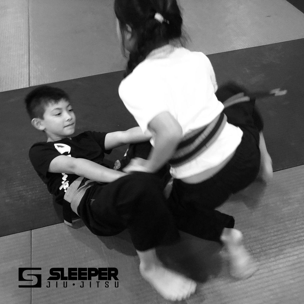 Sleeper Jiu Jitsu Logo