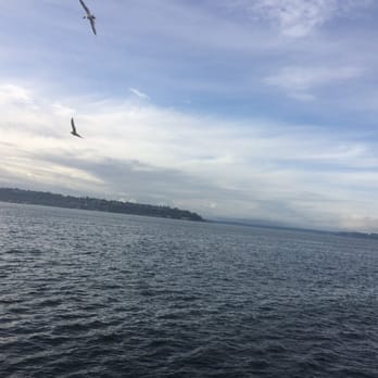 The Edgewater Hotel - My view - Hotels Near Me - Seattle, Washington The Edgewater Hotel - My view - Hotels Near Me - Seattle, Washington