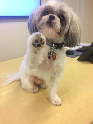 Biscuits & Bath - Riverside Blvd by null