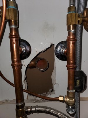 Royally Flushed Plumbing