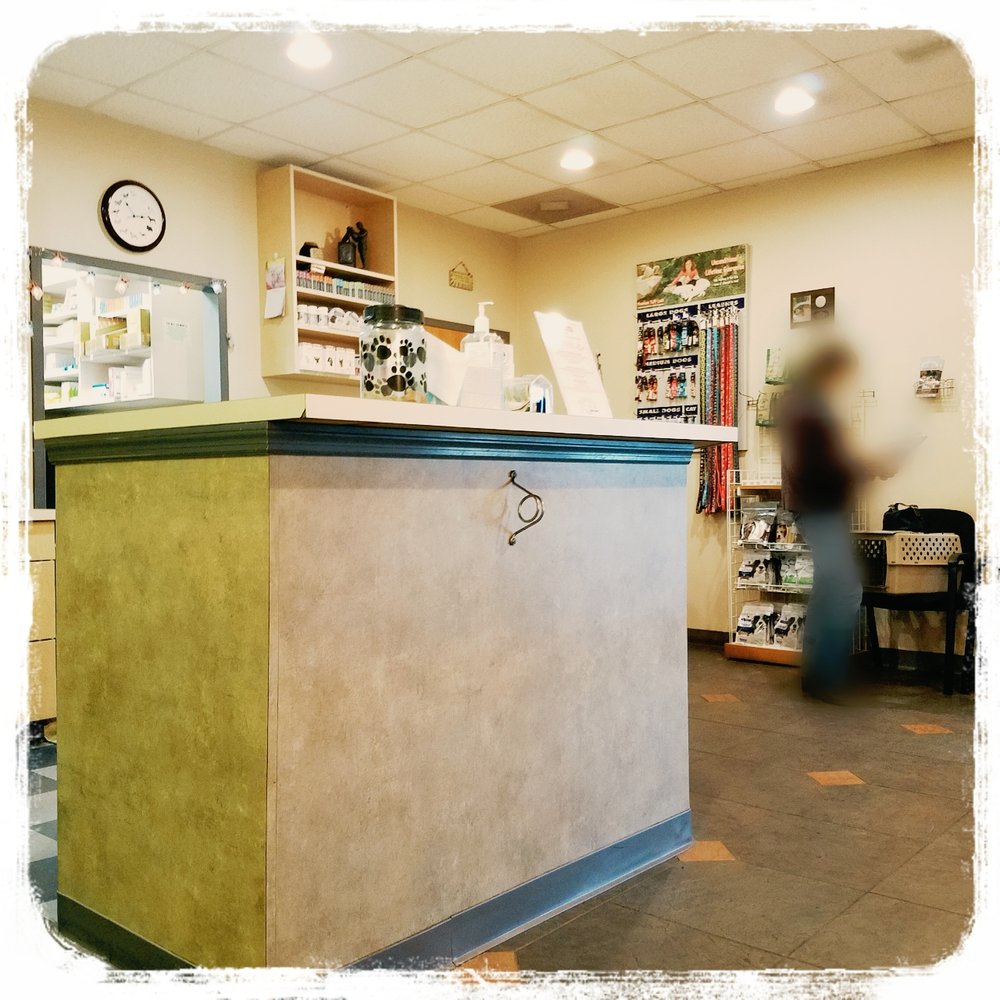 SHALLOWFORD ANIMAL HOSPITAL Updated September 2024 12 Photos & 31