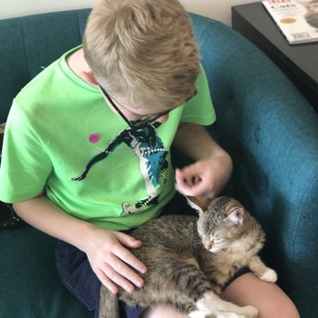 Cat & Craft - My 10 yo with the kitten, Josie. - Coffee & Tea Near Me - Vista, California Cat & Craft - My 10 yo with the kitten, Josie. - Coffee & Tea Near Me - Vista, California