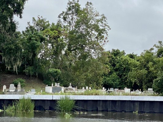 Gators and Ghosts: New Orleans Tours by null