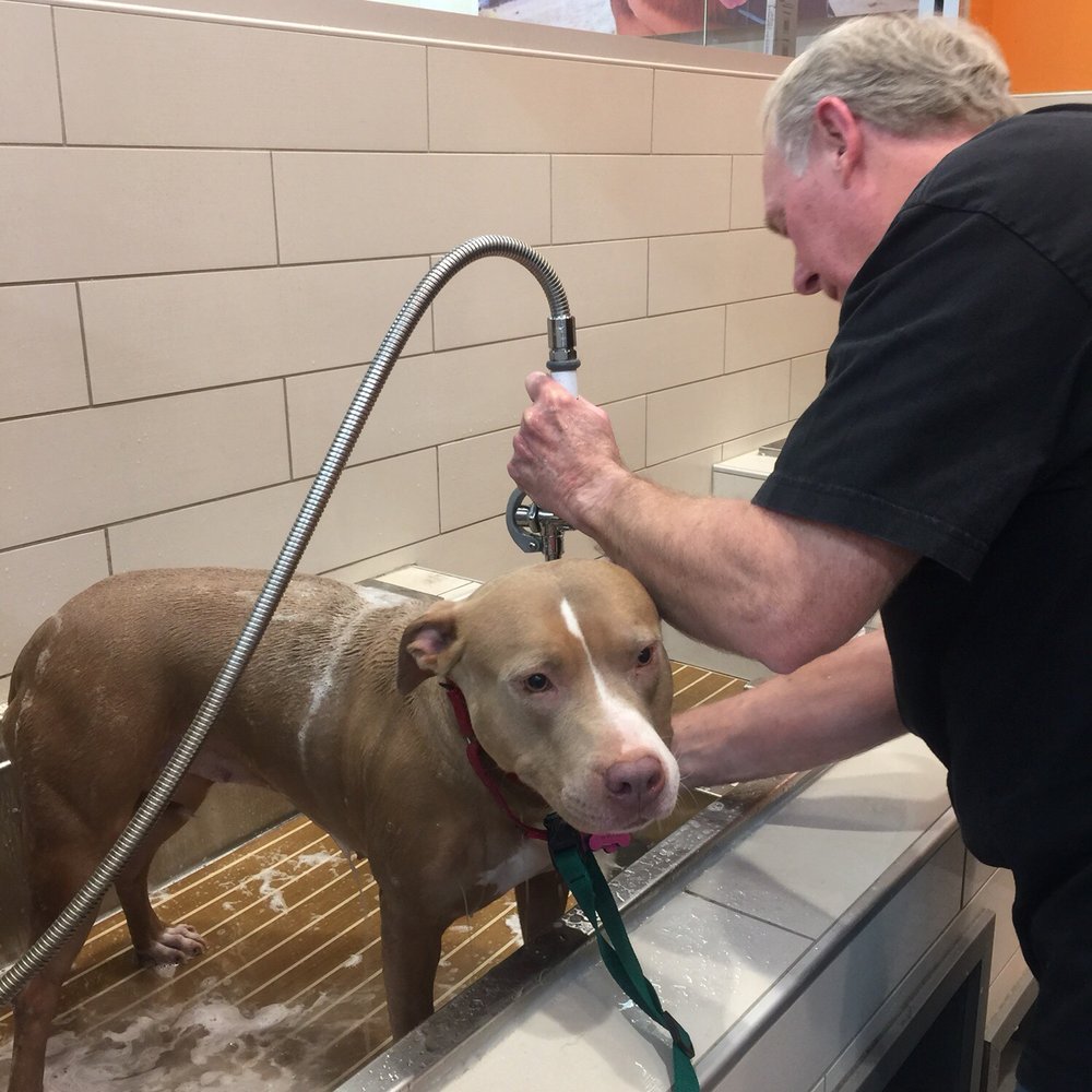 Petco - Pet Stores Near Me - Redlands, California