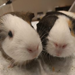 Peach (left) and Caroline (right)
