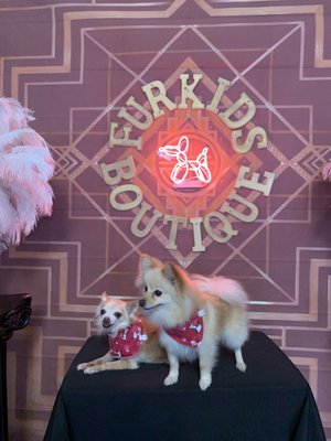 Fur-Kids Boutique by null