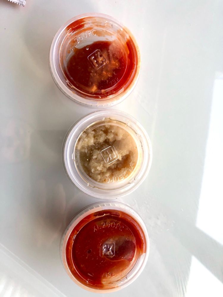 BIRD’S APHRODISIAC OYSTER SHACK 307 Photos & 290 Reviews Bars 325