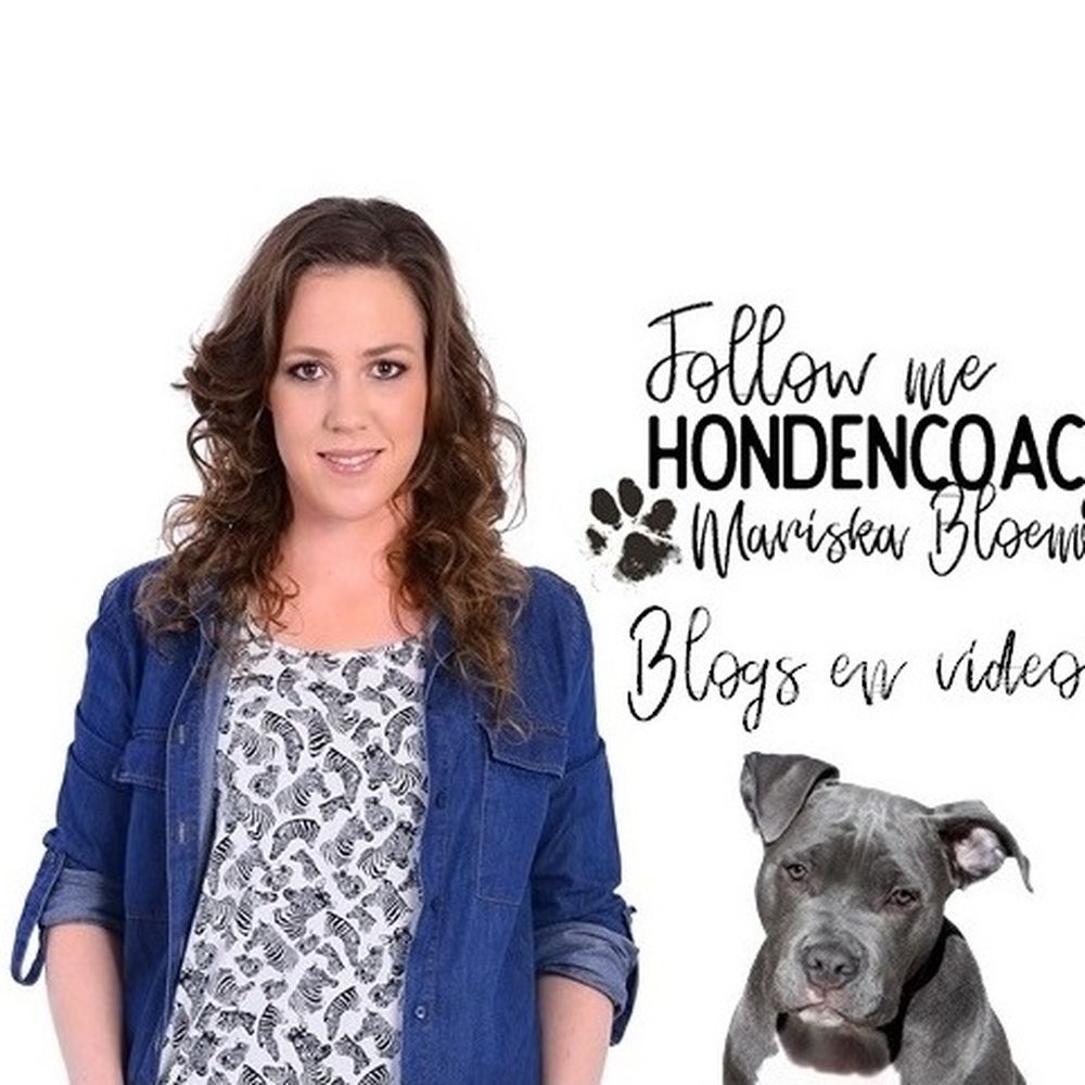 TOP 10 BEST Pets in Vlaardingen, Zuid-Holland, The Netherlands - Updated  2026 - Yelp, image size:1000x1000