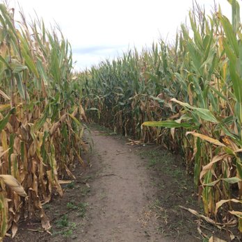 Smith Family Farms - Corn Maze - Attraction Farms Near Me - Pendleton, Indiana