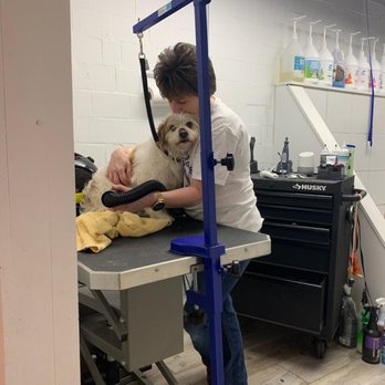 Daily Pet Parlor - Pet Groomers Near Me - Covington, Kentucky Daily Pet Parlor - Pet Groomers Near Me - Covington, Kentucky