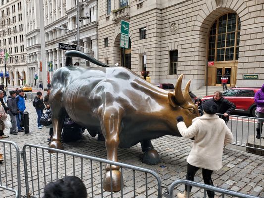 Charging Bull by null