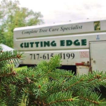 Cutting Edge Grounds Keeping - Tree Services Near Me - Millersville, Pennsylvania Cutting Edge Grounds Keeping - Tree Services Near Me - Millersville, Pennsylvania