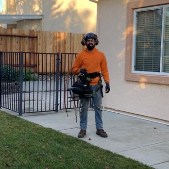 Easy Stumps Tree Services - Tree Services Near Me - Folsom, California