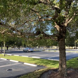 Arbor Managers - Commercial property tree management