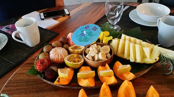 Orchid Tree Bed & Breakfast by null