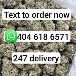 Smoke Shop Guru