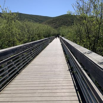 Muir Beach - Parks Near Me - Muir Beach, California Muir Beach - Parks Near Me - Muir Beach, California