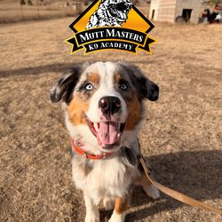 Mutt Masters