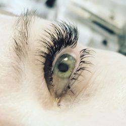 Imperial Lashes