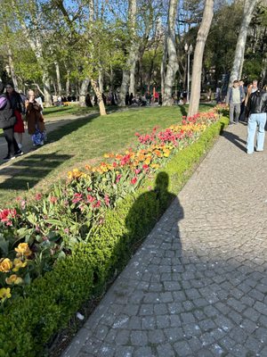 Gülhane Park by null