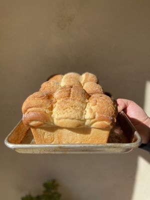 Milk Belly Bakery by null