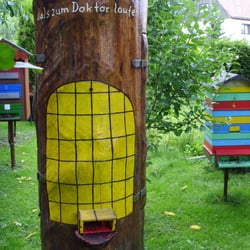 Honig - Imker Harry Dintner