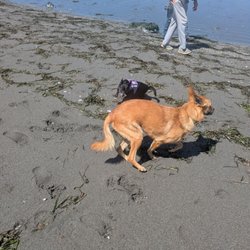 King Salmon Beach