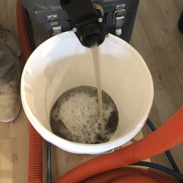 Grime they removed from 1 white chair cushion and my 15-year old area rug