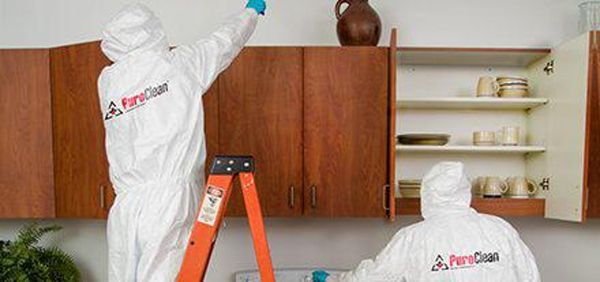 PuroClean Fire & Water Experts by null