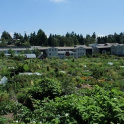 July 2009