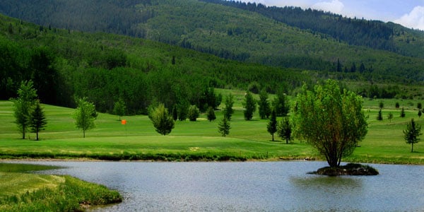 TARGHEE VILLAGE GOLF COURSE 530 Perimeter Dr Alta Wyoming Golf