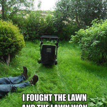 Grass Wackers - Lawn Services Near Me - Covington, Virginia Grass Wackers - Lawn Services Near Me - Covington, Virginia