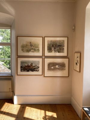 Museum Lars Jonsson by null