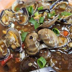 Royal Palace Restaurant - Clams in black bean sauce