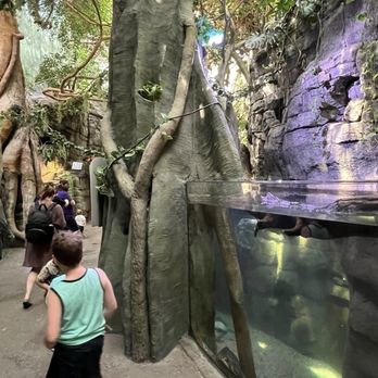 Downtown Aquarium - Museums Near Me - Denver, Colorado Downtown Aquarium - Museums Near Me - Denver, Colorado