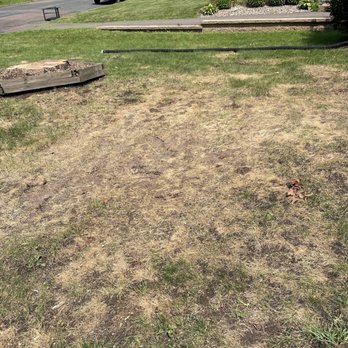 B4K Tree Industries - Seed just thrown on tracks rather than proper racking. - Tree Services Near Me - Little Falls, Minnesota B4K Tree Industries - Seed just thrown on tracks rather than proper racking. - Tree Services Near Me - Little Falls, Minnesota