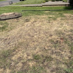 B4K Tree Industries - Seed just thrown on tracks rather than proper racking.