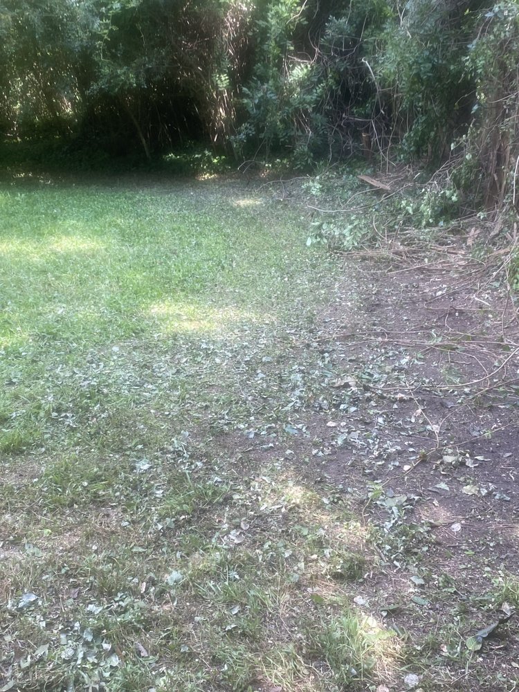 Slide of Rapid Removal Plus