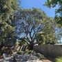 Photo of Mathey Tree Care