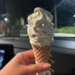 Twistee Treat Longwood - Mint chocolate chip in a kiddie cone