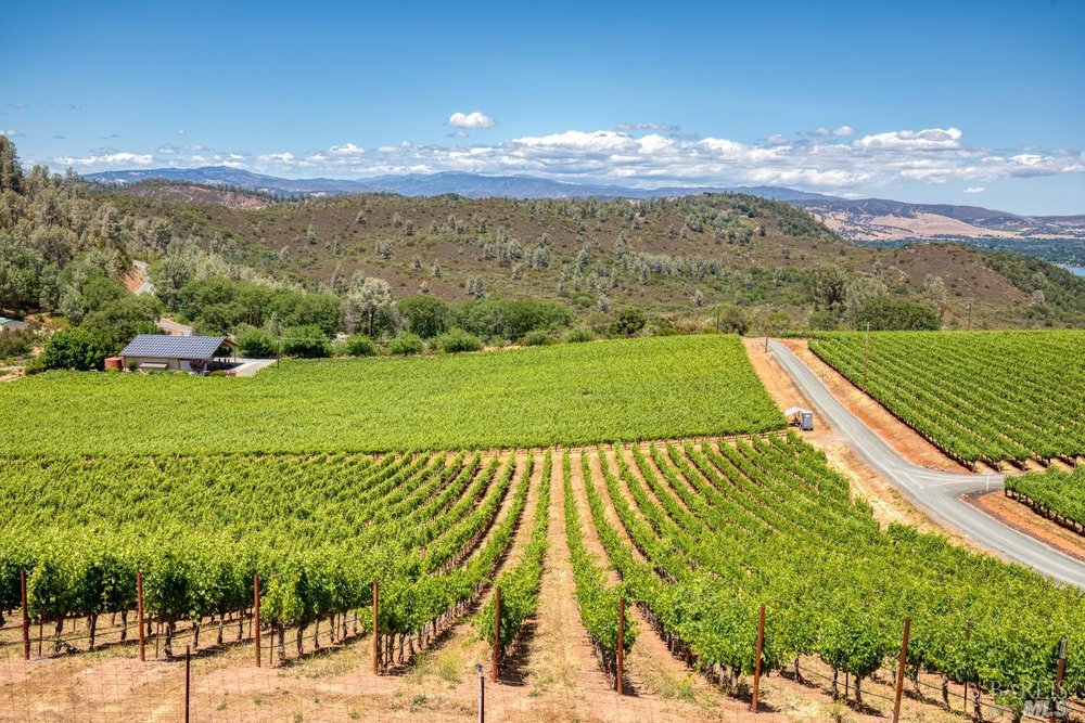 TONY FORD REMAX Updated September 2024 Contact Agent 601 State