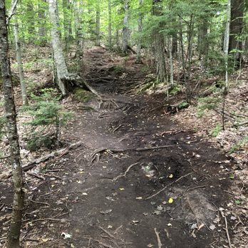 Tahquamenon Falls State Park - The path between The Falls is not "perfect". - Parks Near Me - Paradise, Michigan